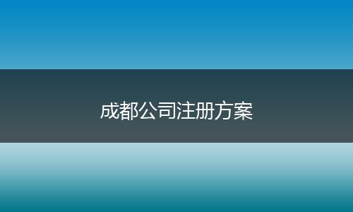 成都公司注册方案