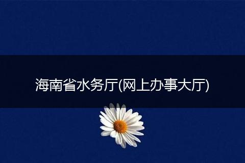 海南省水务厅(网上办事大厅)