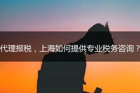 代理报税，上海如何提供专业税务咨询？