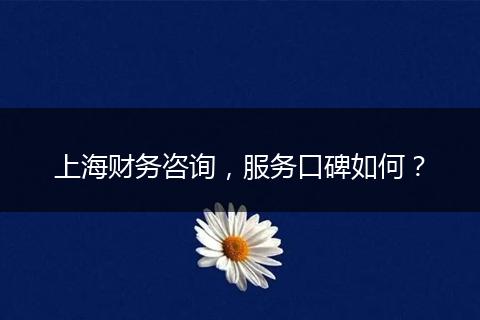 上海财务咨询，服务口碑如何？