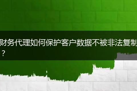 财务代理如何保护客户数据不被非法复制？