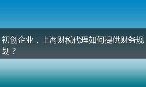初创企业，上海财税代理如何提供财务规划？
