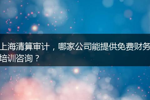 上海清算审计，哪家公司能提供免费财务培训咨询？