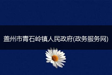 盖州市青石岭镇人民政府(政务服务网)