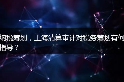 纳税筹划，上海清算审计对税务筹划有何指导？