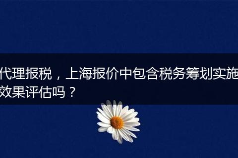 代理报税，上海报价中包含税务筹划实施效果评估吗？