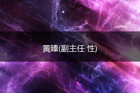 黄臻(副主任 性)