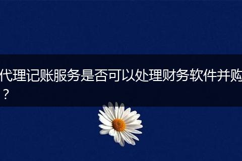 代理记账服务是否可以处理财务软件并购？