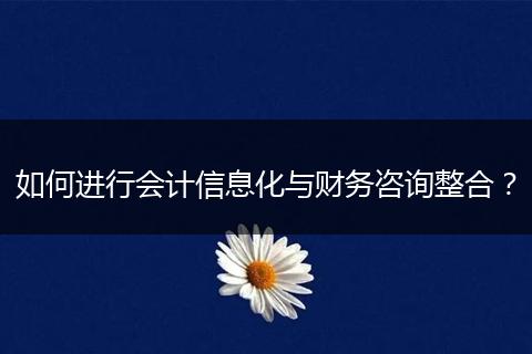 如何进行会计信息化与财务咨询整合？