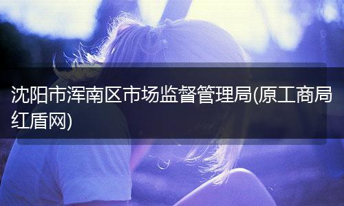 沈阳市浑南区市场监督管理局(原工商局红盾网)