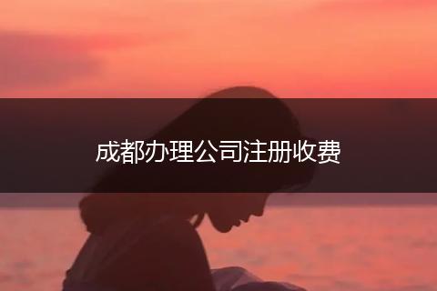 成都办理公司注册收费