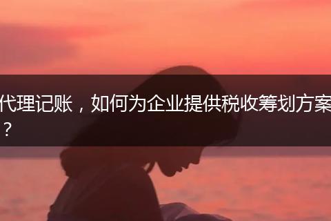 代理记账，如何为企业提供税收筹划方案？