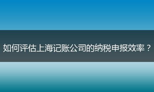 如何评估上海记账公司的纳税申报效率?
