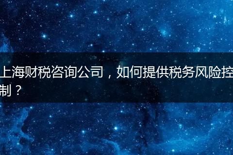 上海财税咨询公司，如何提供税务风险控制？