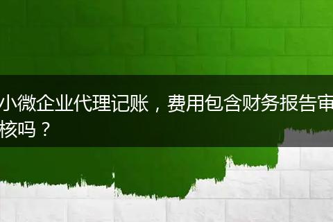 小微企业代理记账,费用包含财务报告审核吗?