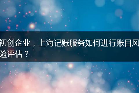 初创企业,上海记账服务如何进行账目风险评估?