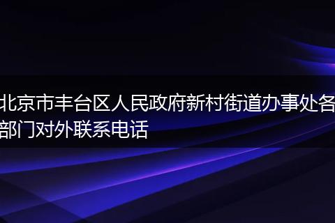 北京市丰台区人民政府新村街道办事处各部门对外联系电话