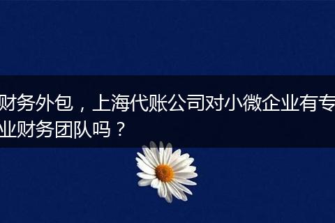 财务外包,上海代账公司对小微企业有专业财务团队吗?