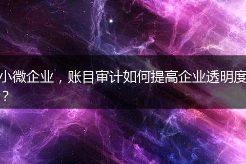 小微企业，账目审计如何提高企业透明度？