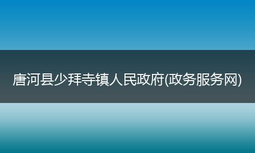 唐河县少拜寺镇人民政府(政务服务网)