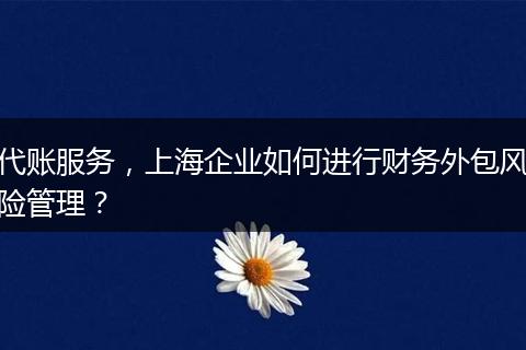代账服务，上海企业如何进行财务外包风险管理？