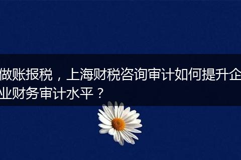 做账报税，上海财税咨询审计如何提升企业财务审计水平？