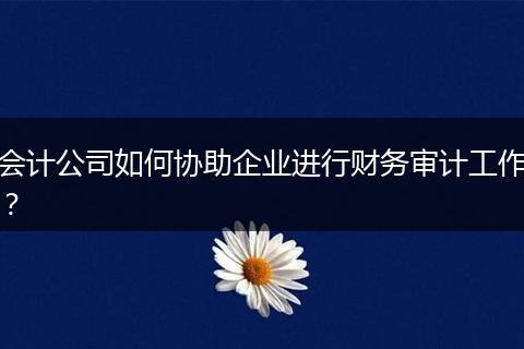 会计公司如何协助企业进行财务审计工作？