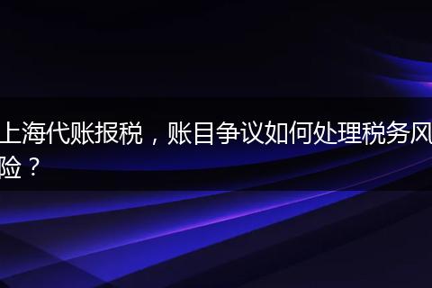 上海代账报税，账目争议如何处理税务风险？