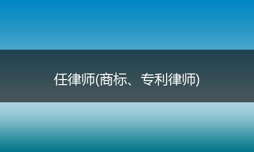 任律师(商标、专利律师)