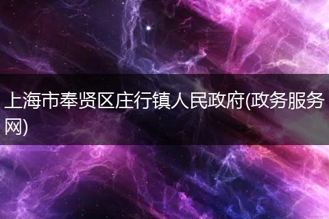 上海市奉贤区庄行镇人民政府(政务服务网)