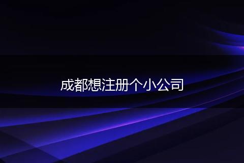 成都想注册个小公司