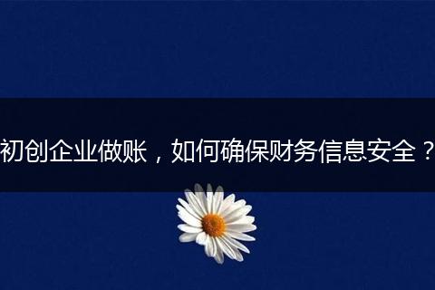 初创企业做账，如何确保财务信息安全？