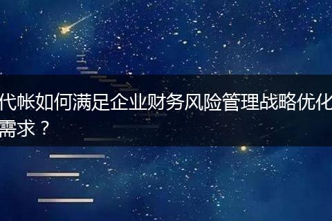 代帐如何满足企业财务风险管理战略优化需求？