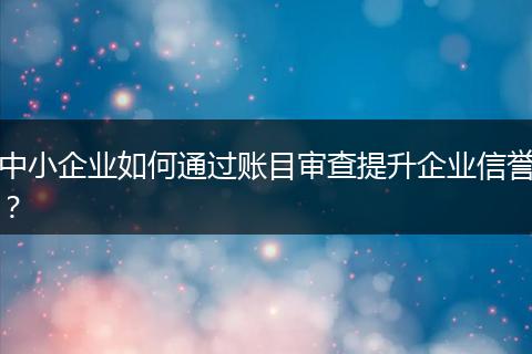 中小企业如何通过账目审查提升企业信誉？