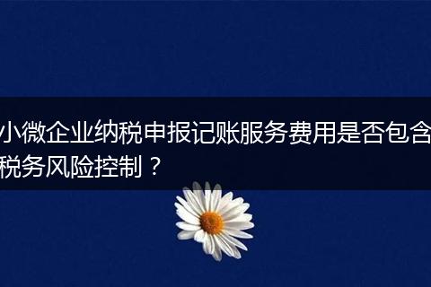 小微企业纳税申报记账服务费用是否包含税务风险控制？