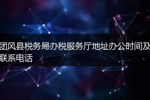 团风县税务局办税服务厅地址办公时间及联系电话