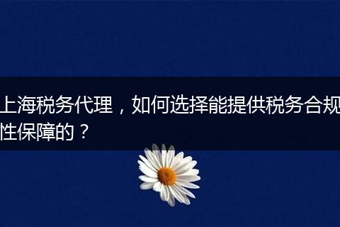 上海税务代理，如何选择能提供税务合规性保障的？