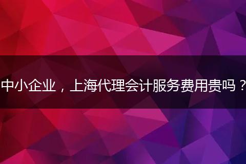 中小企业，上海代理会计服务费用贵吗？
