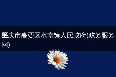 肇庆市高要区水南镇人民政府(政务服务网)