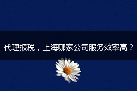 代理报税,上海哪家公司服务效率高?