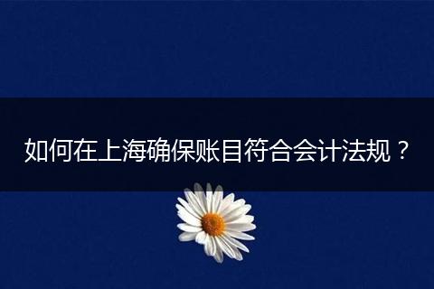 如何在上海确保账目符合会计法规?