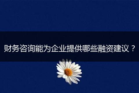 财务咨询能为企业提供哪些融资建议？