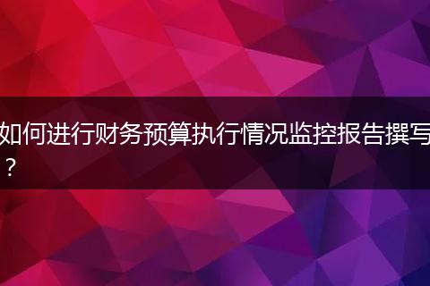 如何进行财务预算执行情况监控报告撰写?