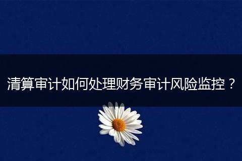 清算审计如何处理财务审计风险监控？