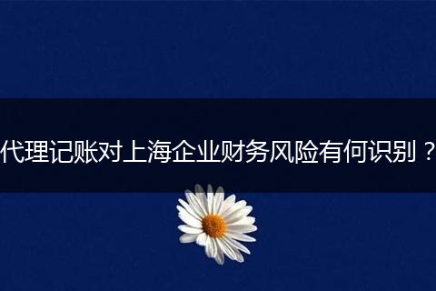 代理记账对上海企业财务风险有何识别？