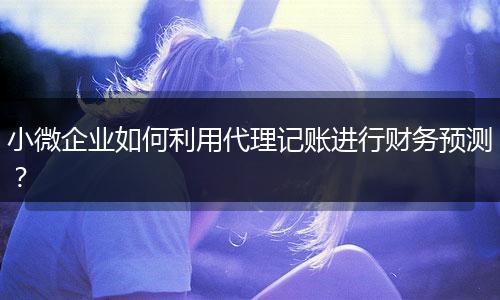小微企业如何利用代理记账进行财务预测？