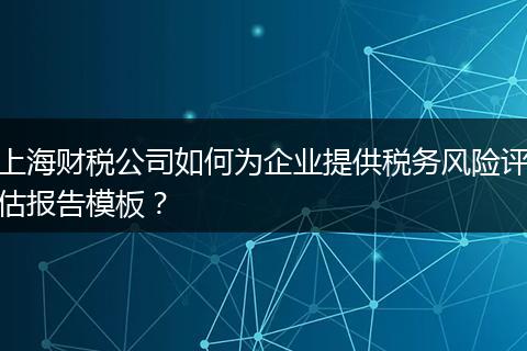 上海财税公司如何为企业提供税务风险评估报告模板？