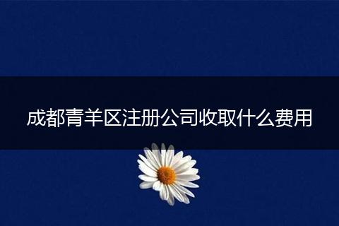 成都青羊区注册公司收取什么费用