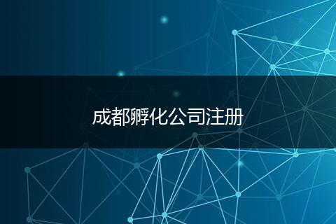 成都孵化公司注册