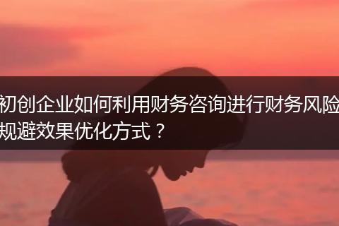 初创企业如何利用财务咨询进行财务风险规避效果优化方式？